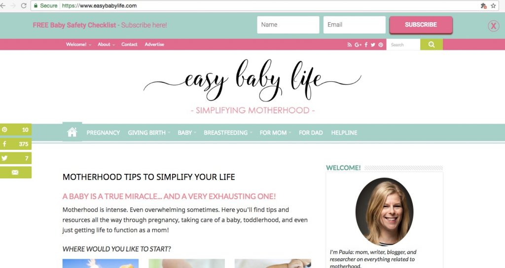 easy baby life blog income report